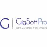 Gigsoft Pro Profile Picture