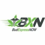 Bud Express Now Profile Picture