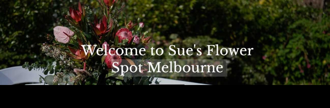 suesflowerspot Cover Image