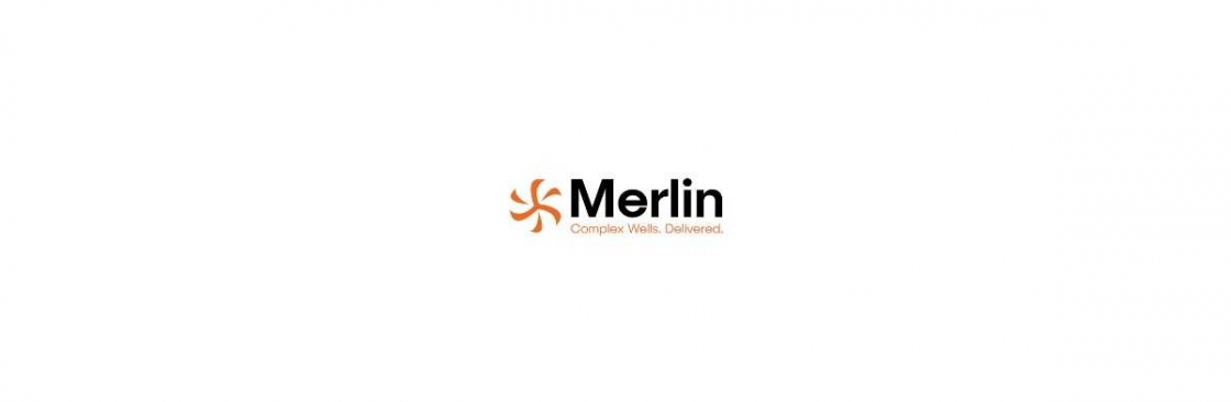 Merlin ERD limited Cover Image