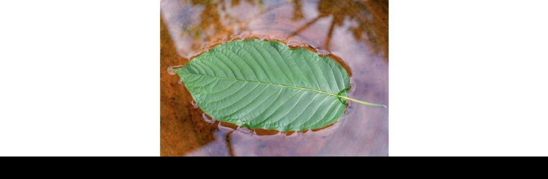 Botanical Remedies LLC Cover Image