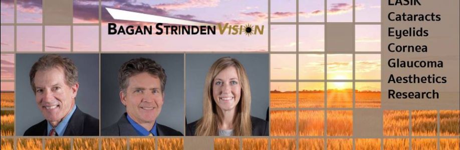 Bagan Strinden Vision Cover Image