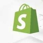 Shopify Digital Profile Picture