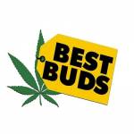 BestbudswDCDispensary Profile Picture