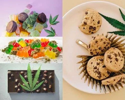 Delta 9 Edibles: A Beginner’s Guide to Smokeless Cannabis | by Delta 9 THC | Oct, 2023 | Medium