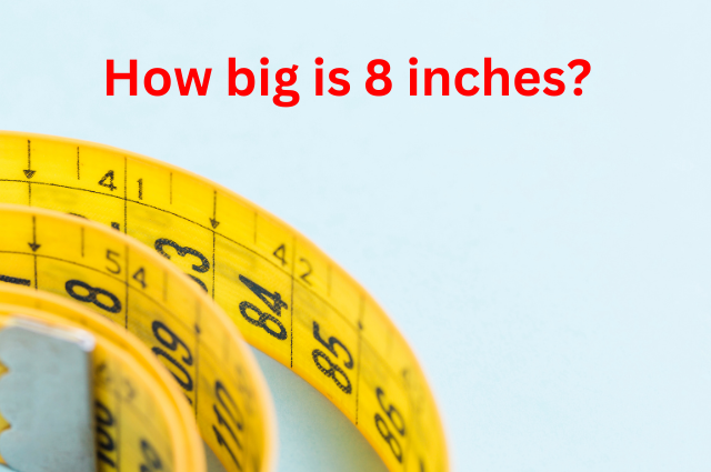 How Big is 8 Inches?